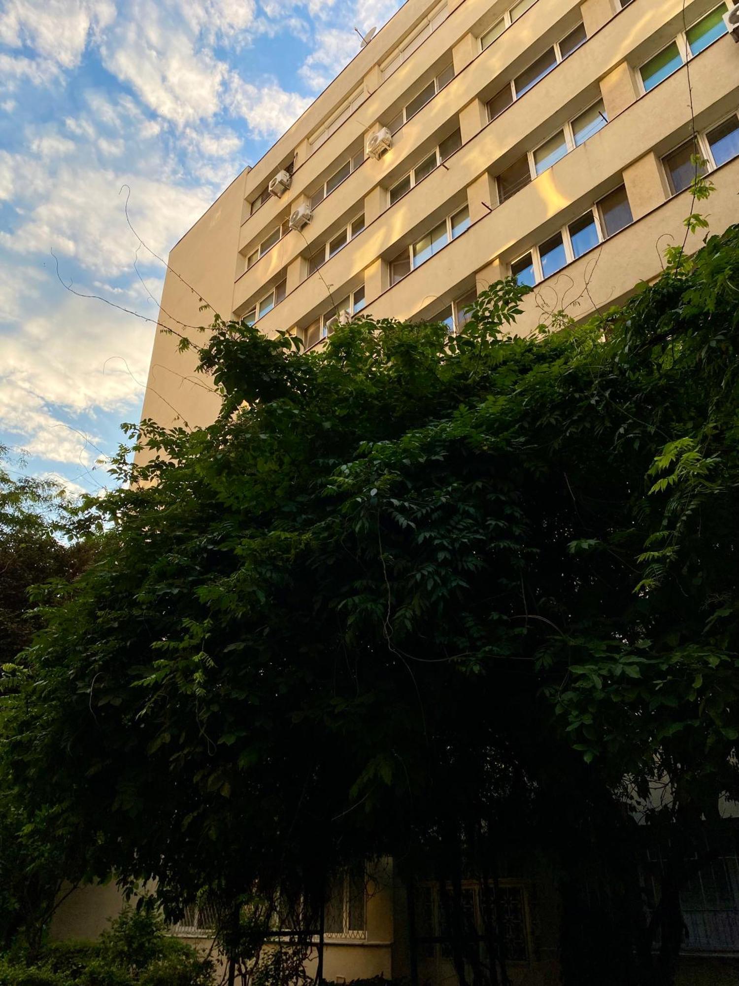 Downtown Studio - Ultra Central With Park View Βουκουρέστι Εξωτερικό φωτογραφία